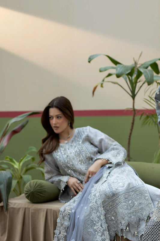 Soft Icy Grey & Silver Embroidered Organza Suit | Ready To Wear