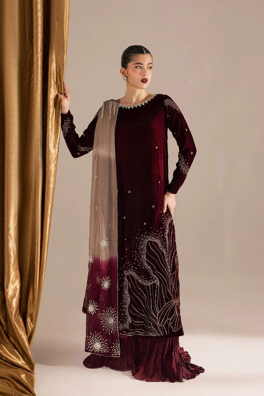 Wine Maroon & Champagne: Embroidered Velvet Suit | Ready To Wear